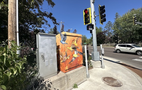 Duluth Artists Invited to Add Color to City's Utility Boxes in Public Art Push