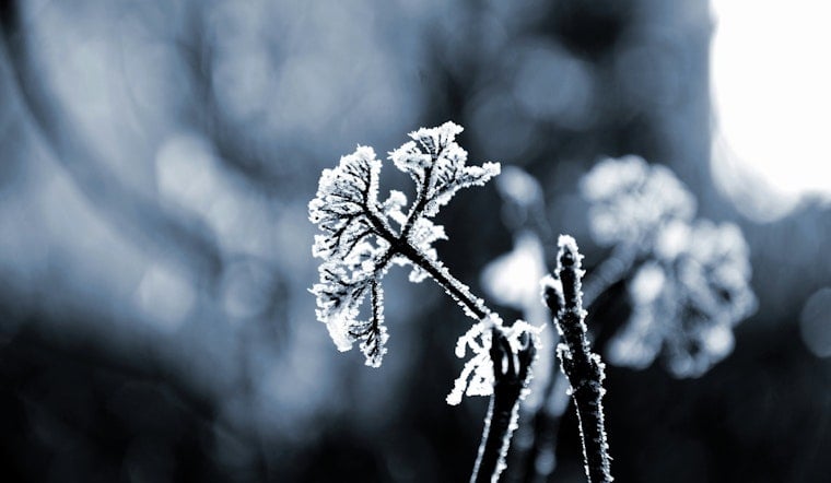 East Tennessee Hit with Frost Advisory, Chilly Mornings and Rain Predicted for the Week Ahead