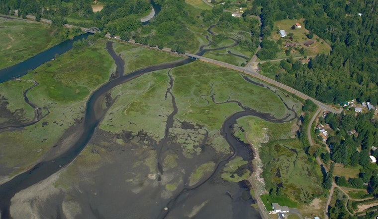 Eco-Conscious New Yorkers Invited to Learn About Duckabush Estuary Restoration Project on May 4