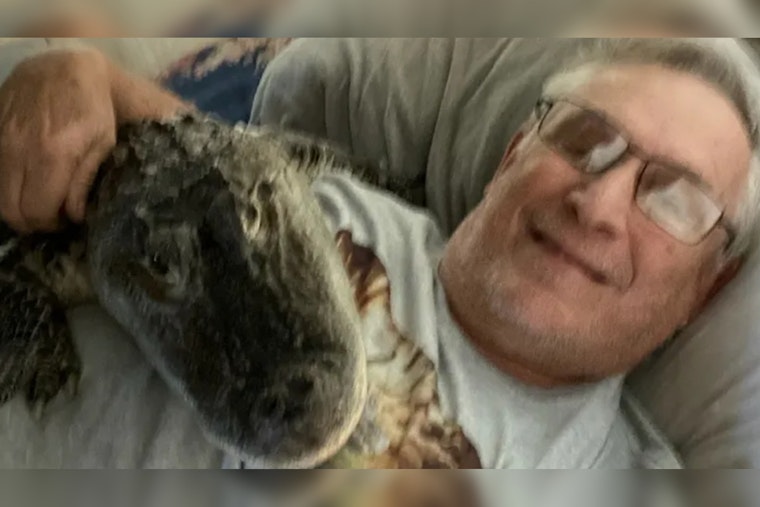 Emotional Support Gator Goes MIA in Georgia, Distraught Pennsylvania Owner in a Swamp of Despair