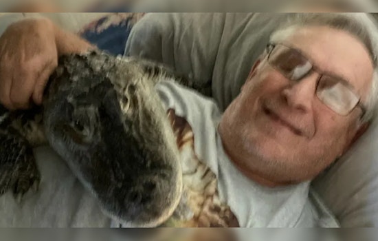 Emotional Support Gator Goes MIA in Georgia, Distraught Pennsylvania Owner in a Swamp of Despair
