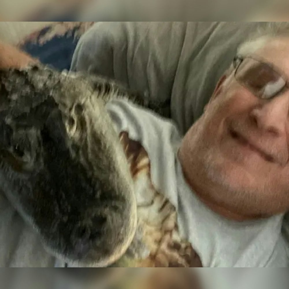 Emotional Support Gator Goes MIA in Georgia, Distraught Pennsylvania Owner in a Swamp of Despair