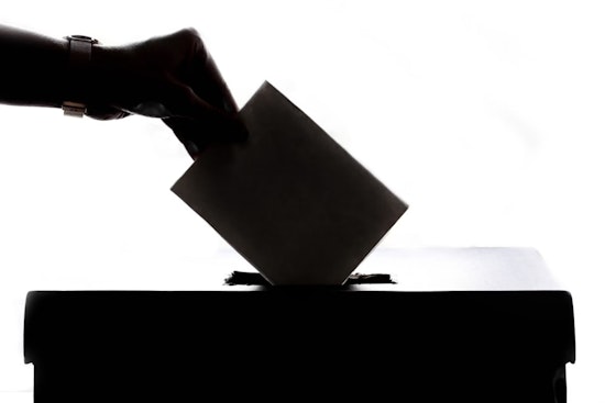 Environmental Group Sues Over Georgia PSC Election Delays Amid Rising Power Rates