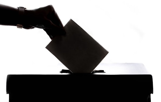 Environmental Group Sues Over Georgia PSC Election Delays Amid Rising Power Rates
