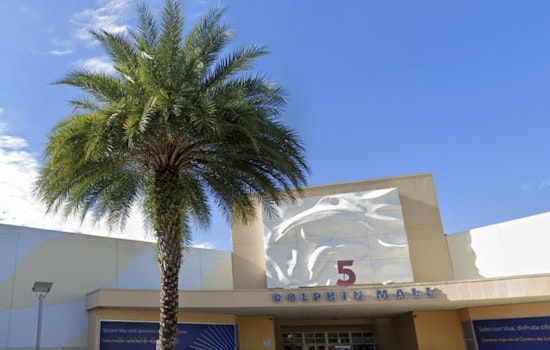 False Alarm at Miami's Dolphin Mall Triggers Massive Police Response and Social Media Frenzy