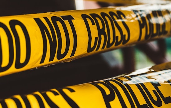Fatal Crash in Redondo Beach: Motorist Perishes After Vehicle Collides With Tree on Pacific Coast Highway