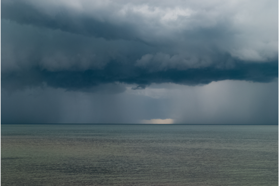 Fierce Storm Rips Through Metro Detroit: Uprooted Trees, Power Outages, and Property Damage
