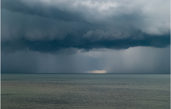 Fierce Storm Rips Through Metro Detroit: Uprooted Trees, Power Outages, and Property Damage