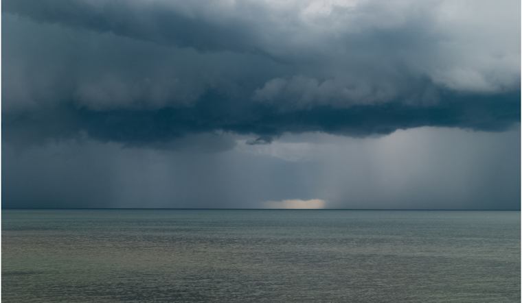 Fierce Storm Rips Through Metro Detroit: Uprooted Trees, Power Outages, and Property Damage