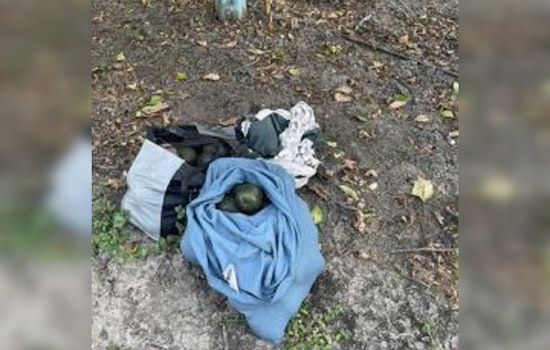 Fillmore and Santa Paula Avocado, Farm Equipment Thefts Prompt Increased Vigilance and Police Tips