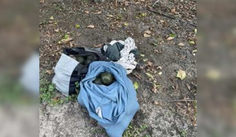 Fillmore and Santa Paula Avocado, Farm Equipment Thefts Prompt Increased Vigilance and Police Tips