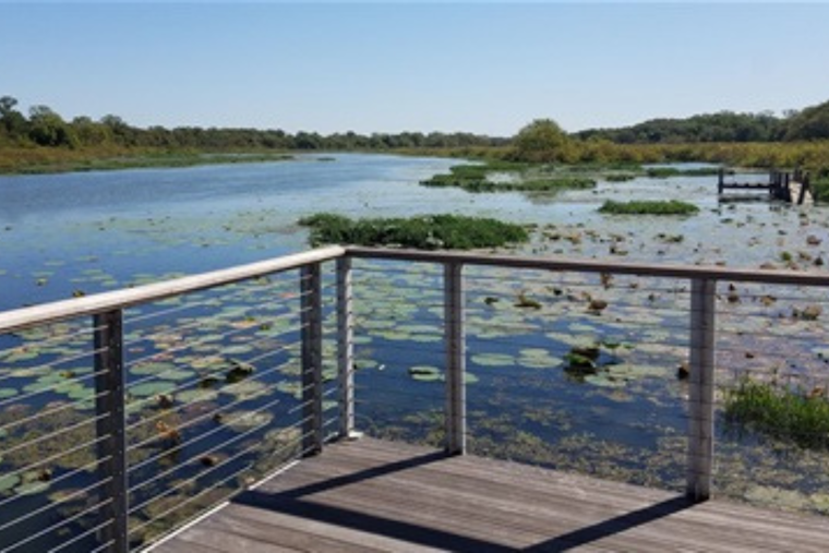 Fort Worth Celebrates Earth Day with Opening of Expanded Marty Leonard Lotus Marsh Boardwalk