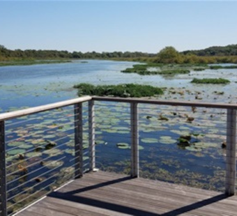 Fort Worth Celebrates Earth Day with Opening of Expanded Marty Leonard Lotus Marsh Boardwalk