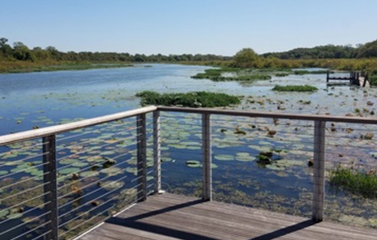 Fort Worth Celebrates Earth Day with Opening of Expanded Marty Leonard Lotus Marsh Boardwalk