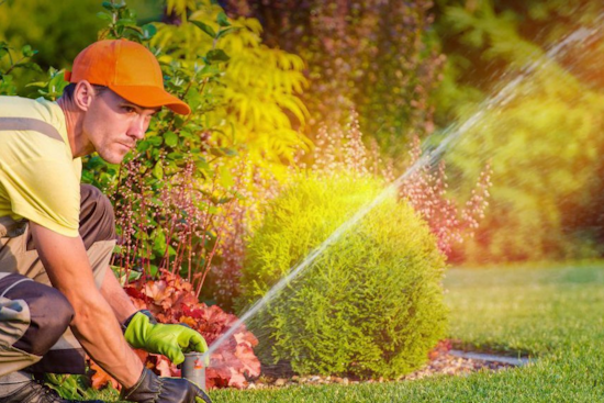 Fort Worth Offers Free Irrigation Evaluations to First 150 Gardeners Ahead of Summer Heat