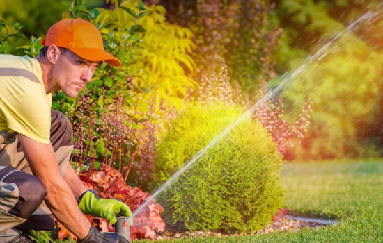 Fort Worth Offers Free Irrigation Evaluations to First 150 Gardeners Ahead of Summer Heat