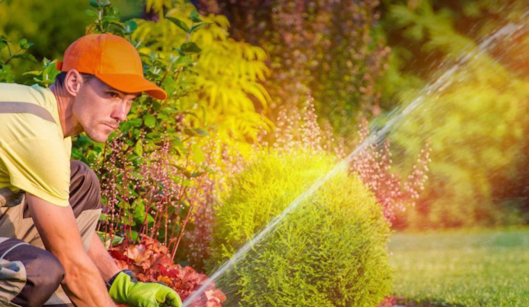 Fort Worth Offers Free Irrigation Evaluations to First 150 Gardeners Ahead of Summer Heat