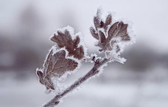 Frost Advisory for Southwest North Carolina, East Tennessee, and Southwest Virginia Issued by NWS