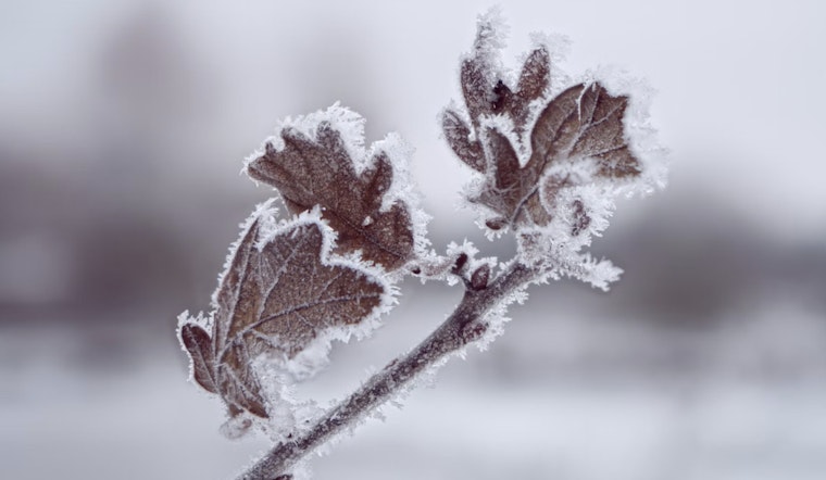Frost Advisory for Southwest North Carolina, East Tennessee, and Southwest Virginia Issued by NWS