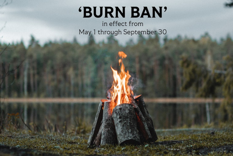 Georgia Institutes Summer 'Burn Ban' in Milton and 54 Counties to Mitigate Wildfire Risks