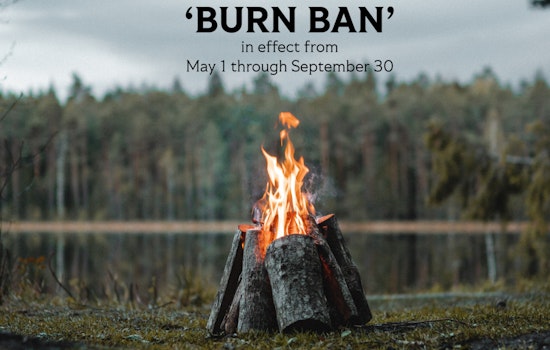 Georgia Institutes Summer 'Burn Ban' in Milton and 54 Counties to Mitigate Wildfire Risks