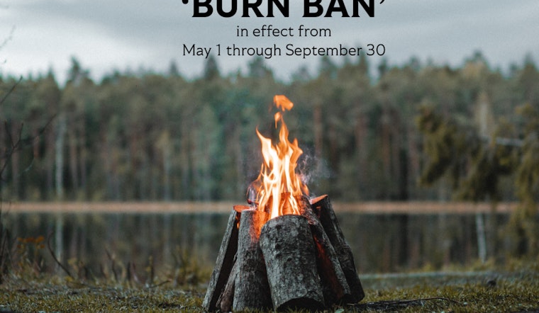 Georgia Institutes Summer 'Burn Ban' in Milton and 54 Counties to Mitigate Wildfire Risks