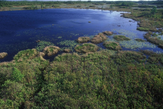 Georgia Legislative Efforts to Protect Okefenokee Swamp Stall as EPD Considers Mining Permits