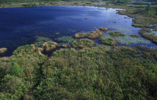 Georgia Legislative Efforts to Protect Okefenokee Swamp Stall as EPD Considers Mining Permits