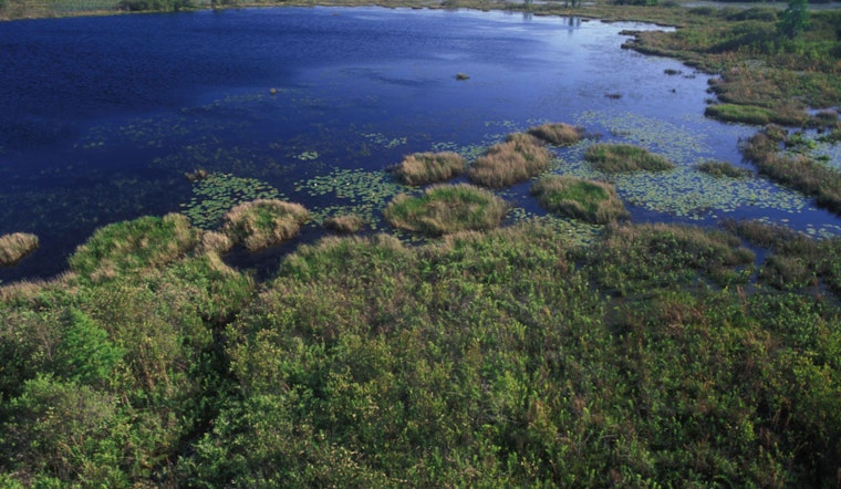 Georgia Legislative Efforts to Protect Okefenokee Swamp Stall as EPD Considers Mining Permits