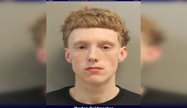 Harris County Deputies Arrest 20-Year-Old on Weapon, Marijuana Charges During Traffic Stop