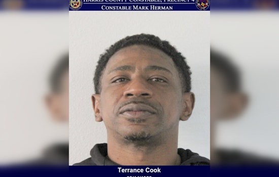 Harris County Officers Arrest Man on Multiple Charges Including Assault on Pregnant Person