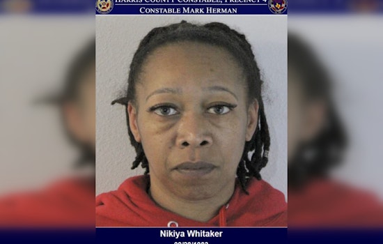 Harris County Woman Charged with Felony Theft for Embezzling from Spec's Store
