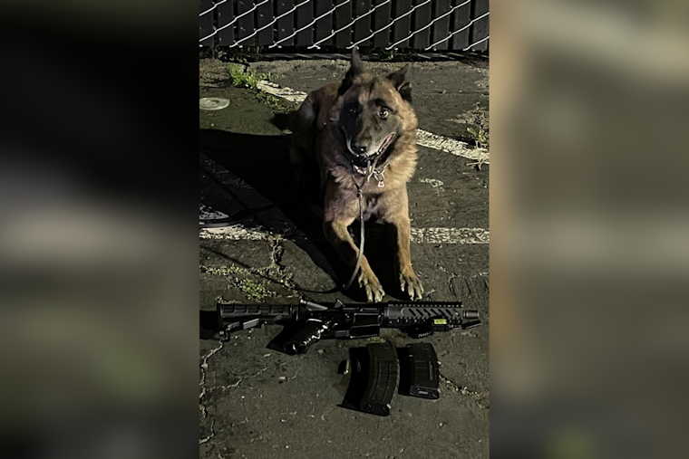 Hayward Police Arrest Felon Suspected of Illegal Gun Possession After K9 Aids in Weapon Recovery