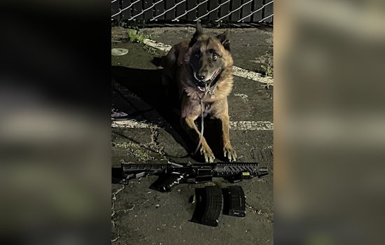 Hayward Police Arrest Felon Suspected of Illegal Gun Possession After K9 Aids in Weapon Recovery