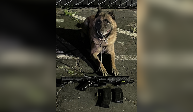 Hayward Police Arrest Felon Suspected of Illegal Gun Possession After K9 Aids in Weapon Recovery