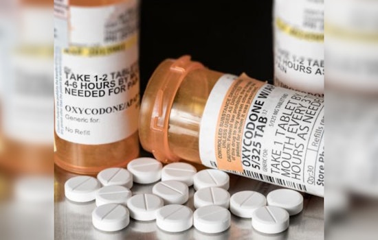 Hennepin County Invests $8.8 Million to Reinforce Fight Against Opioid Crisis with Community Agency Support