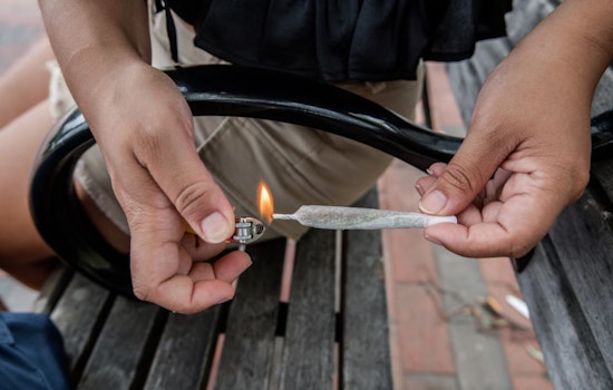 Hialeah Councilwoman Advocates for Public Marijuana Smoking Ban Amid Florida's Legalization Debate