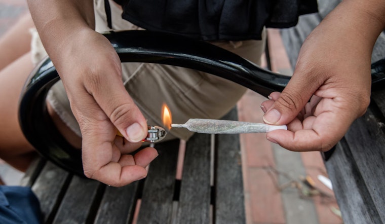 Hialeah Councilwoman Advocates for Public Marijuana Smoking Ban Amid Florida's Legalization Debate