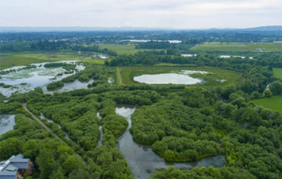 Hillsboro Celebrates 6th Year as Tree City USA with Major Plantings and $622K in Green Investments