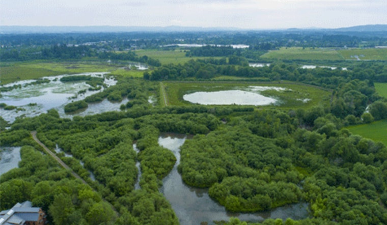 Hillsboro Celebrates 6th Year as Tree City USA with Major Plantings and $622K in Green Investments