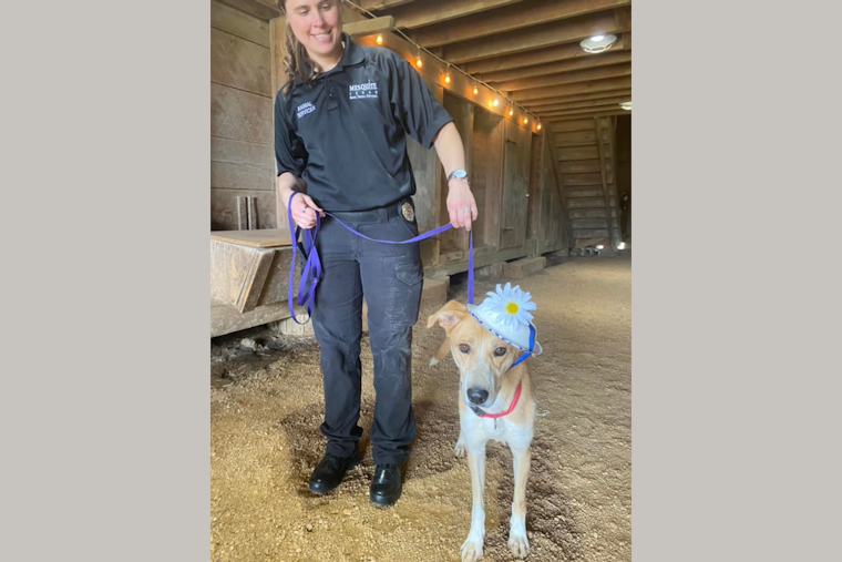 Historic Mesquite Inc. Hosts Doggy Derby Day at Opal Lawrence Park with Contests, Adoptions & Microchipping