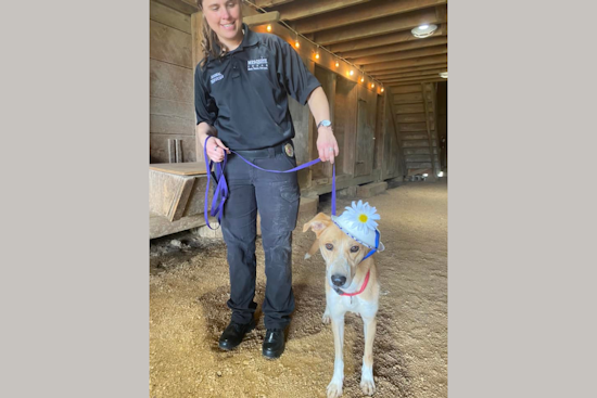 Historic Mesquite Inc. Hosts Doggy Derby Day at Opal Lawrence Park with Contests, Adoptions & Microchipping