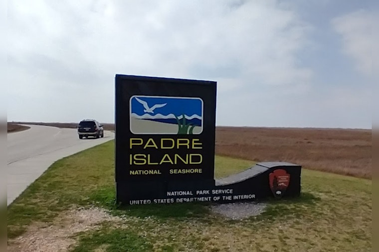Hope on the Horizon: First Kemp's Ridley Sea Turtle Nest of the Year Discovered at Texas's Padre Island