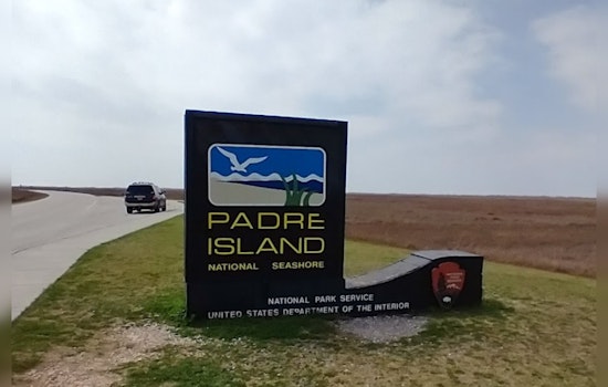 Hope on the Horizon: First Kemp's Ridley Sea Turtle Nest of the Year Discovered at Texas's Padre Island
