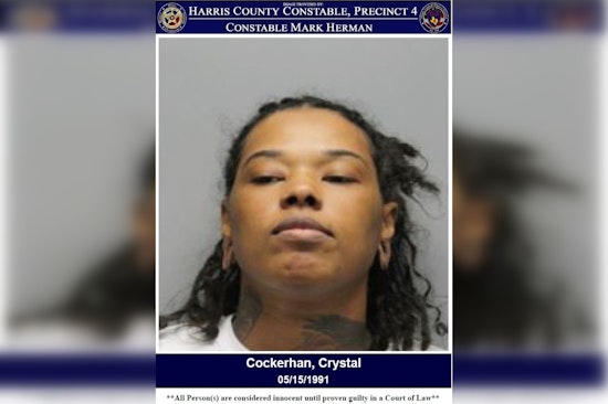 Houston Area Woman Charged with Theft Over Alleged $189 Target Shoplifting Incident