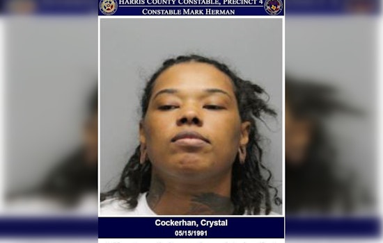 Houston Area Woman Charged with Theft Over Alleged $189 Target Shoplifting Incident