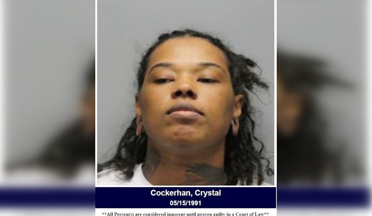 Houston Area Woman Charged with Theft Over Alleged $189 Target Shoplifting Incident