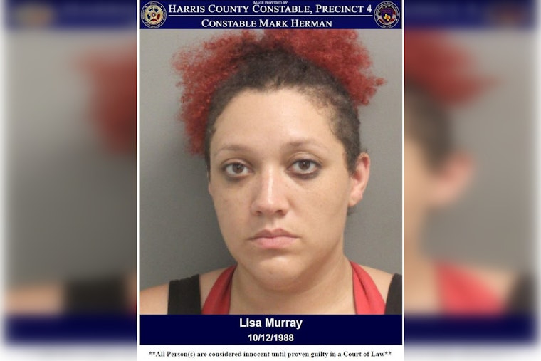 Houston Authorities Arrest Woman Suspected of Theft, Recover Stolen Goods in Harris County