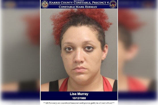 Houston Authorities Arrest Woman Suspected of Theft, Recover Stolen Goods in Harris County