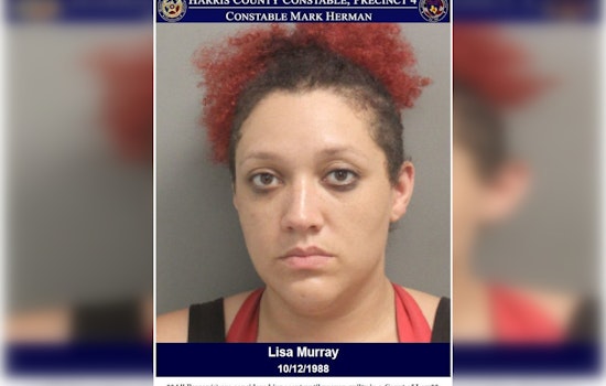 Houston Authorities Arrest Woman Suspected of Theft, Recover Stolen Goods in Harris County